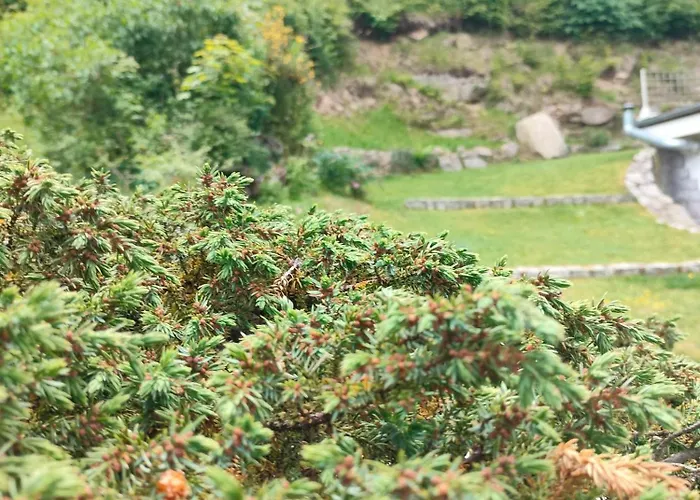 Jagniatkowa Koliba 3*